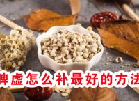 脾虚怎么补最好的方法、一个传承百年的食疗古方！