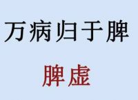 脾胃虚弱的症状表现与调理方法