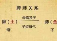 宝宝食欲差偏瘦，脸色发黄经常便秘，经常患感冒、舌苔薄腻、脾肺虚弱怎么调理？