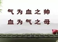 气虚血虚湿气重怎么调理,祛湿健脾补气血是关键