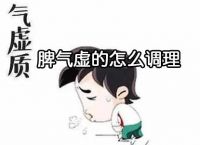 脾气虚的怎么调理？健脾补气虚就用它