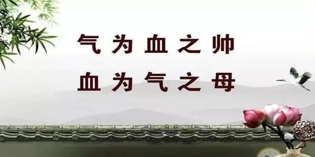 气虚血虚湿气重怎么调理,祛湿健脾补气血是关键