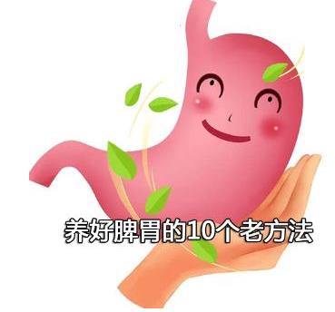 养好脾胃的10个老方法