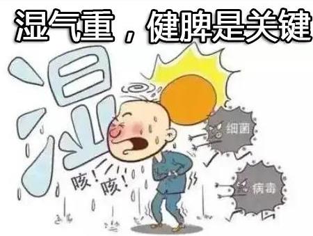 湿气重，健脾是关键