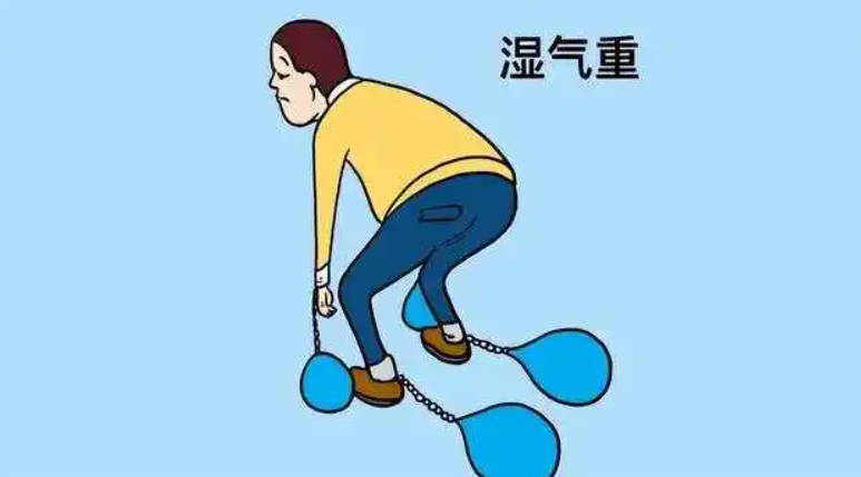 湿气重吃八珍粉管用吗.jpg