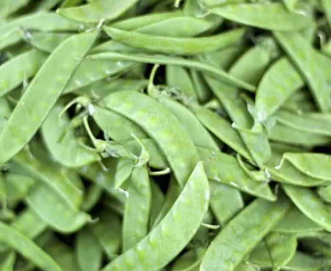 夏季脾虚怎么办 这些食物都是健脾的良药