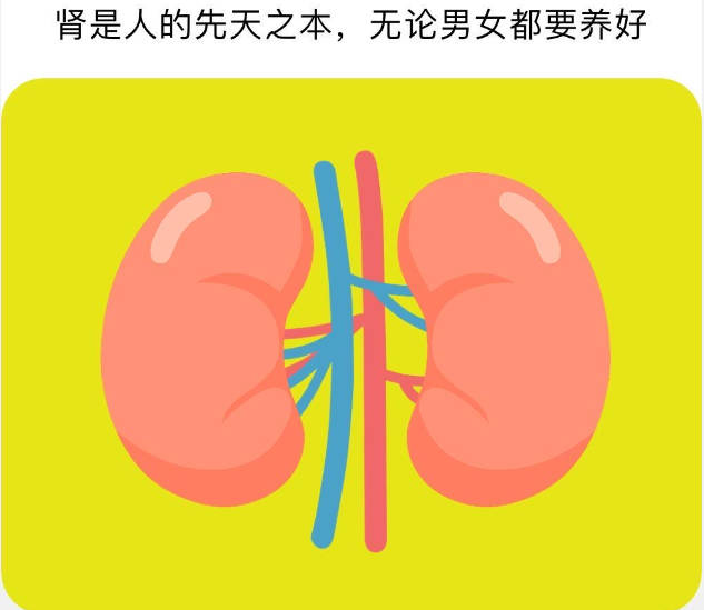 日常补肾方法 教你几招补肾方法.jpg